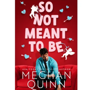 So Not Meant To Be by Meghan Quinn