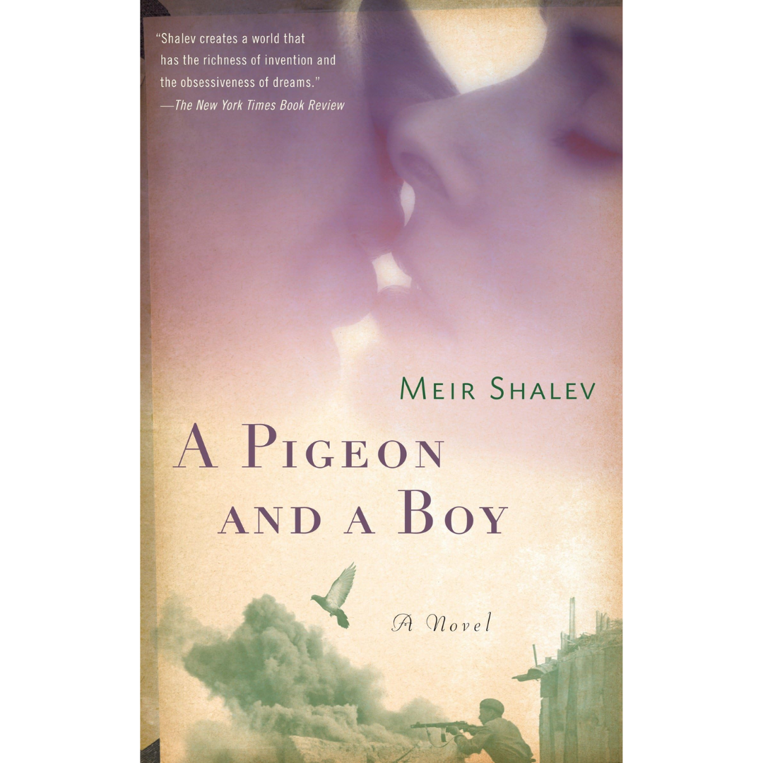 A Pigeon and a Boy by Meir Shalev
