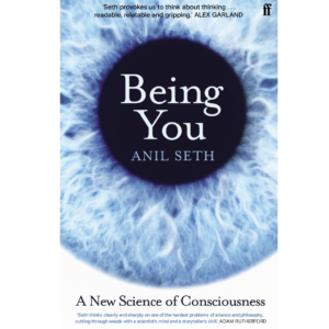 Being You by Anil Seth