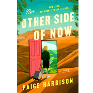 The Other Side of Now by Paige Harbison