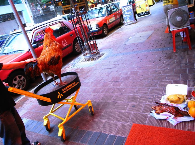 Kies je Geluk op de Legendarische Chicken Road Gokspel in Nederland